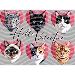 Animal Text Series-AT 3321